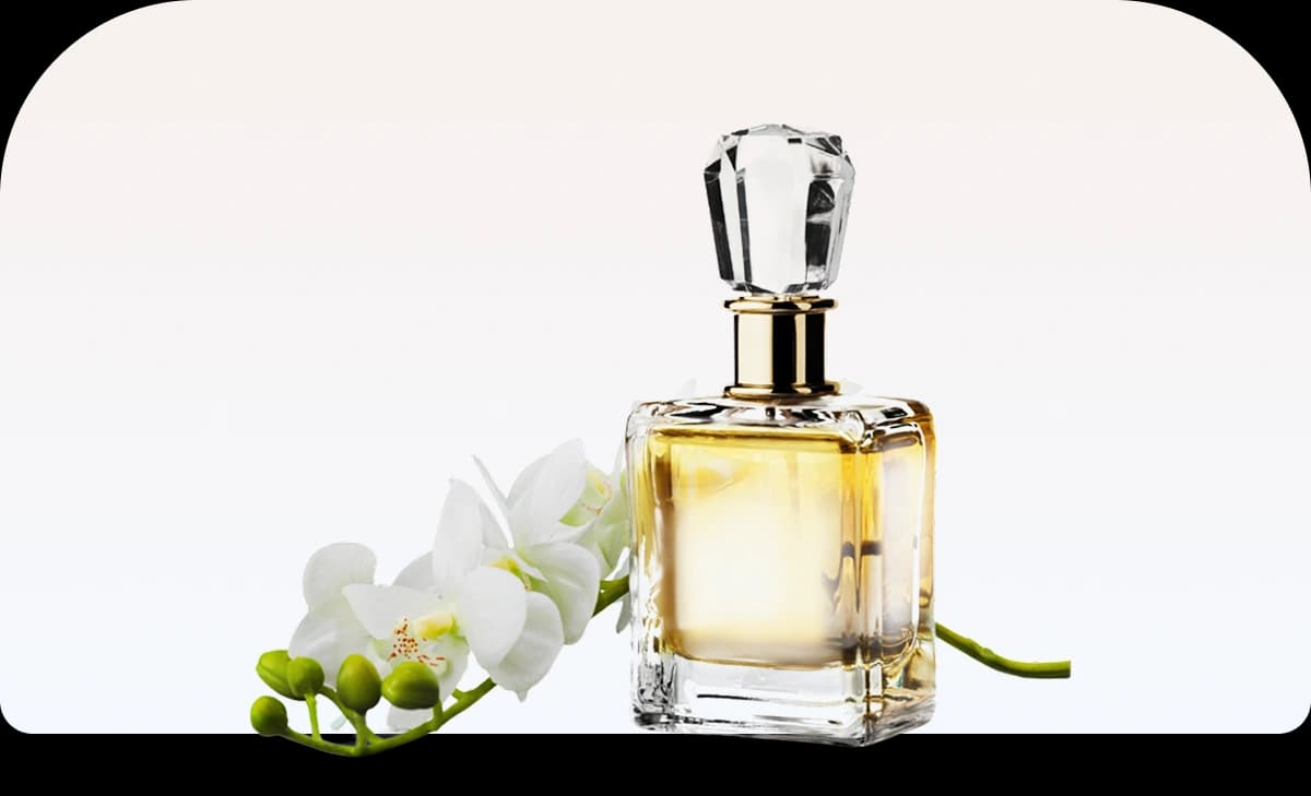 scent_1