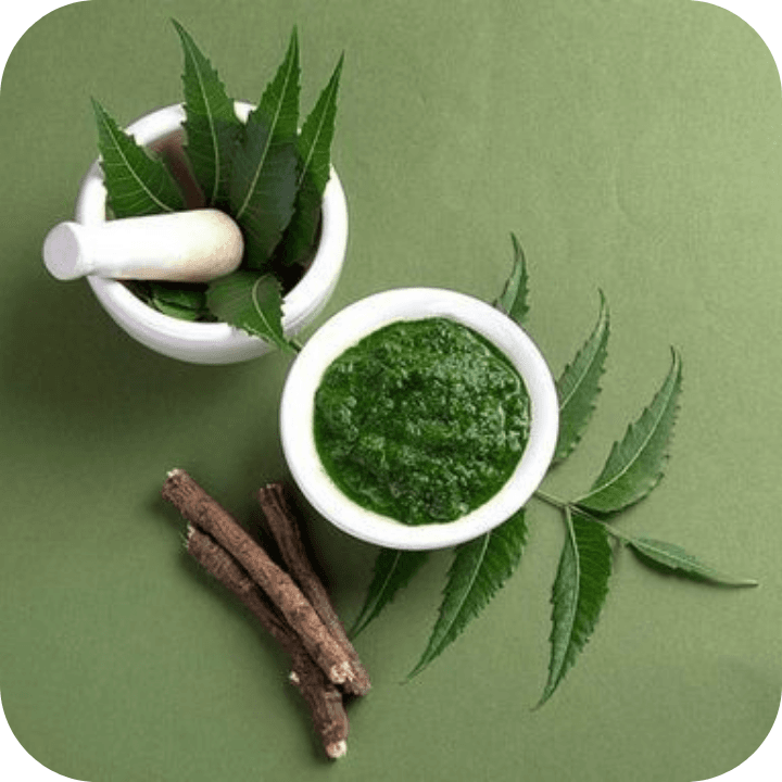 NEEM image