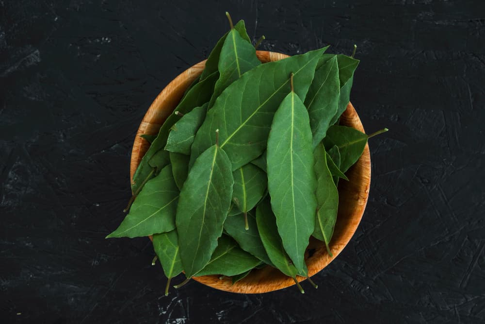 NEEM